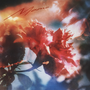 91禁🍆🍑🔞❌❌❌蘑菇网站
