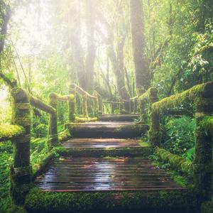 91禁🍆🍑🔞❌❌❌蘑菇网站
